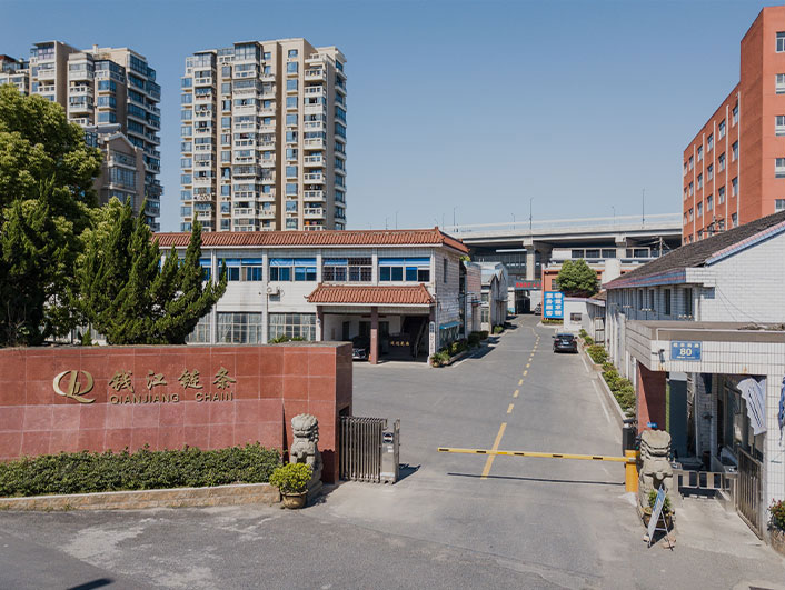 شرکت صنایع زنجیره ای هانگزو کیان جیانگ با مسئولیت محدود