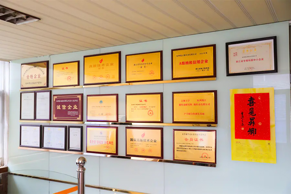 شرکت صنایع زنجیره ای هانگزو کیان جیانگ با مسئولیت محدود